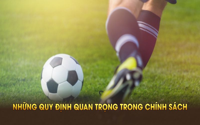 Những quy định quan trọng trong chính sách miễn trừ trách nhiệm ChemgioTV
